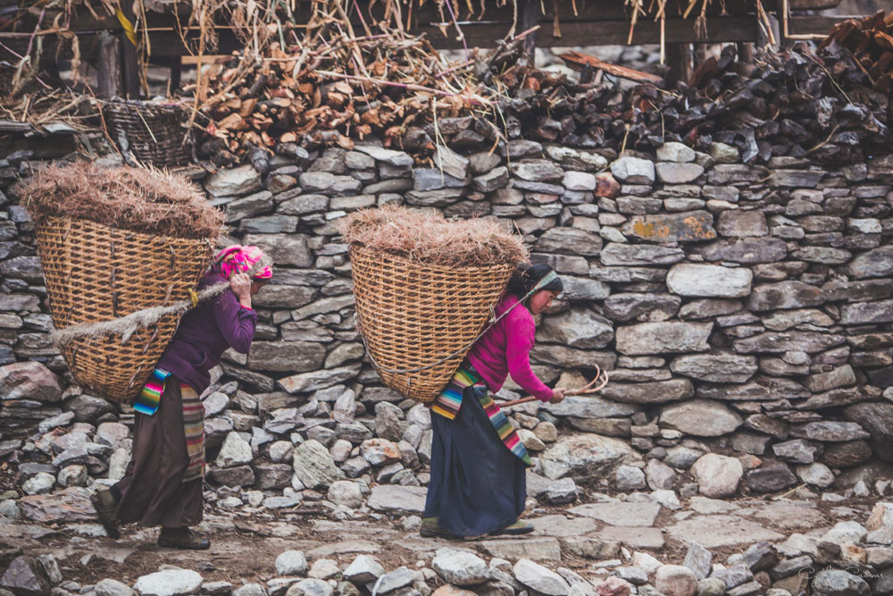 Manaslu Circuit trekking 